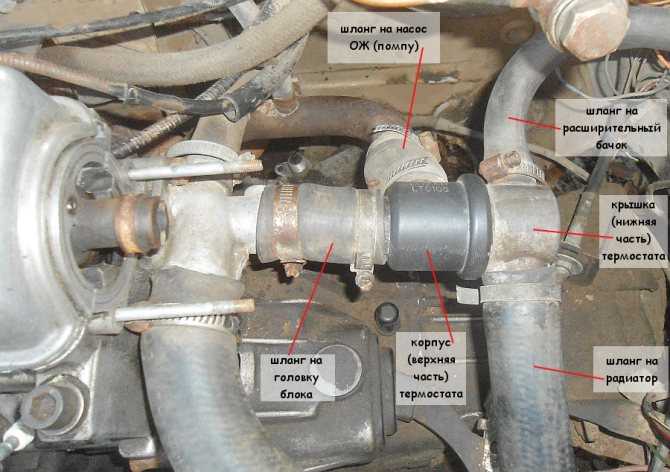 Справка: система охлаждения двигателя 21083 | twokarburators.ru