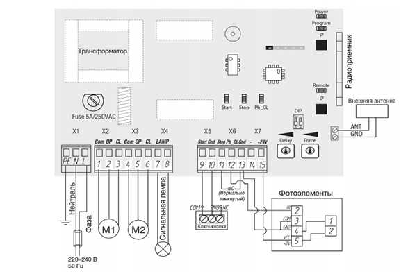 Замена ремня привода генератора skoda octavia tour: описание, процессы