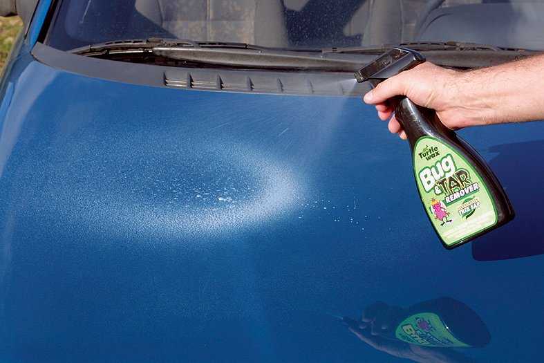 Чем отмыть тополиные почки с машины: как убрать тополь с автомобиля, что нельзя делать при выведении пятна